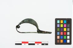 Foto von Bronzekahnfibel (NHMW-PRAE-025495)
